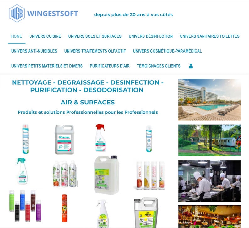 wingestsoft site